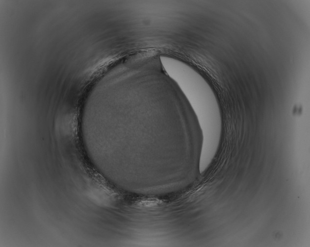 X0000090440595200708031156