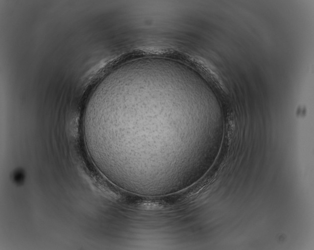 X0000090440596200708031155