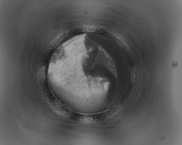 X0000090440598200708031155