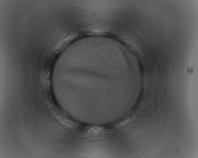 X0000090440599200708031155