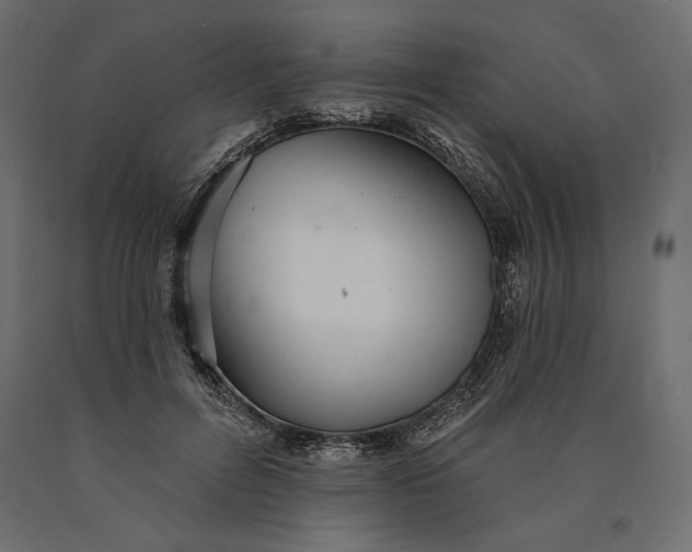 X0000090440600200708031155