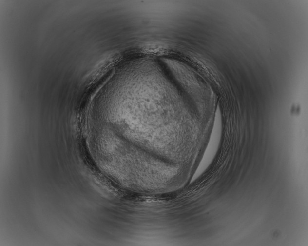 X0000090440601200708031155