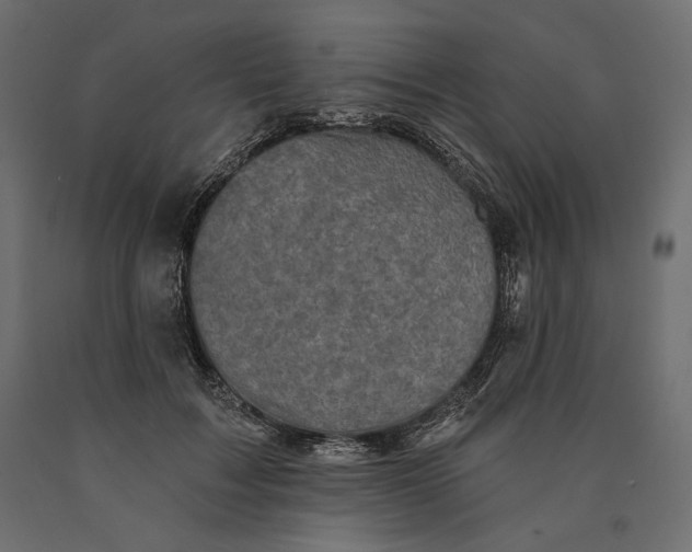 X0000090440603200708031155