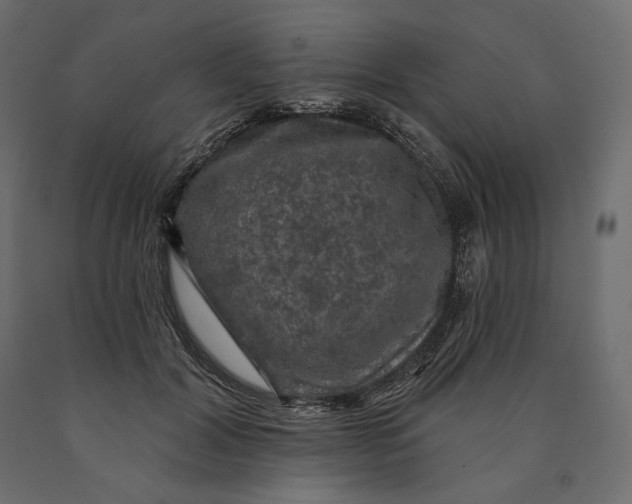 X0000090440604200708031155