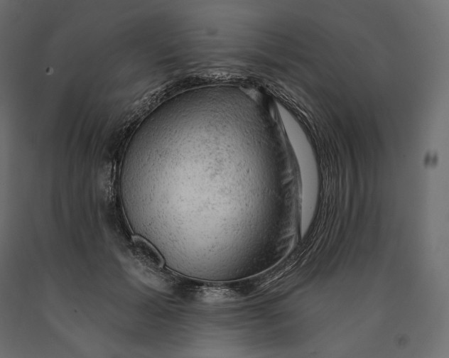 X0000090440605200708031155