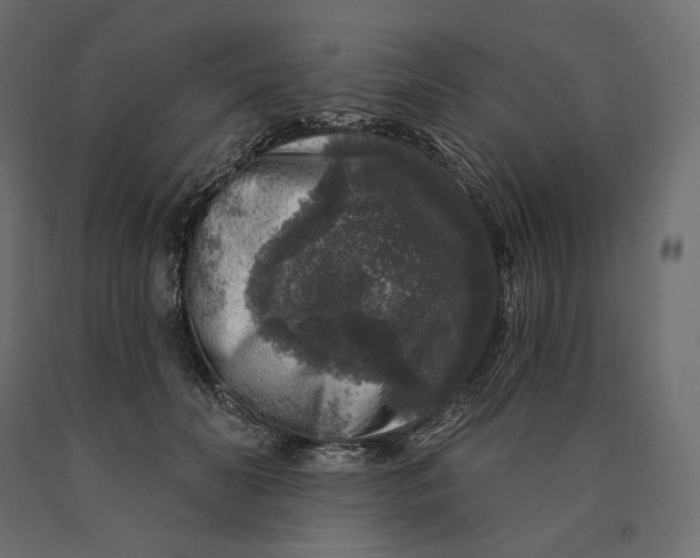 X0000090440606200708031155