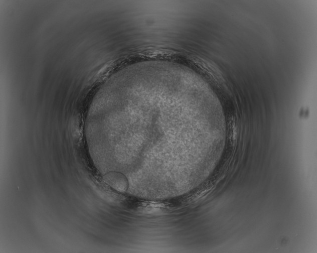 X0000090440607200708031155