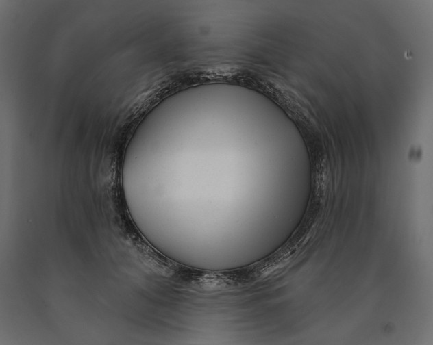 X0000090440608200708031155