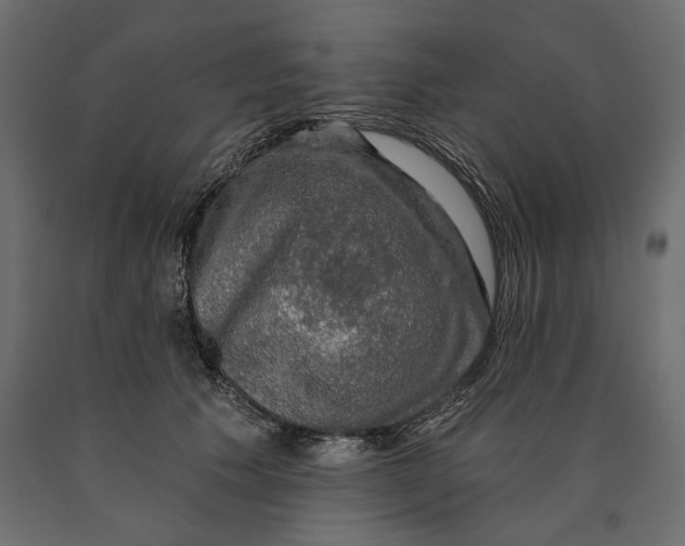 X0000090440609200708031155