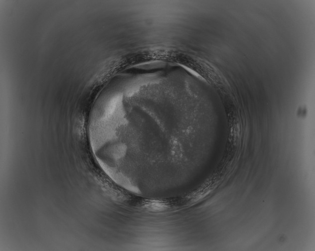 X0000090440610200708031155