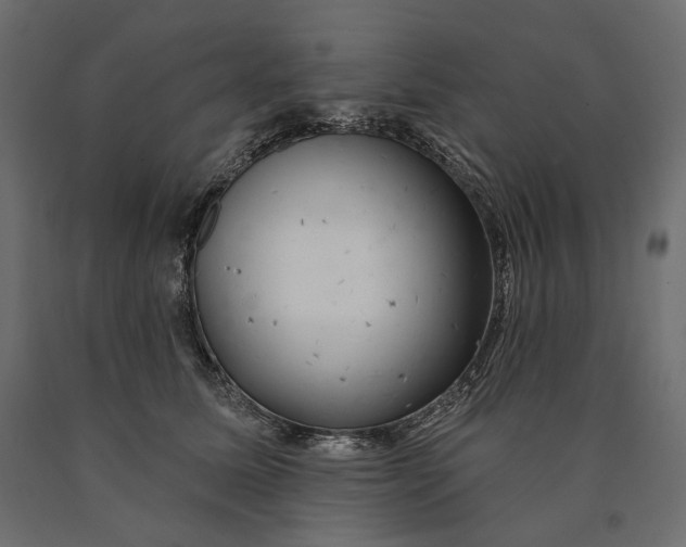 X0000090440611200708031155