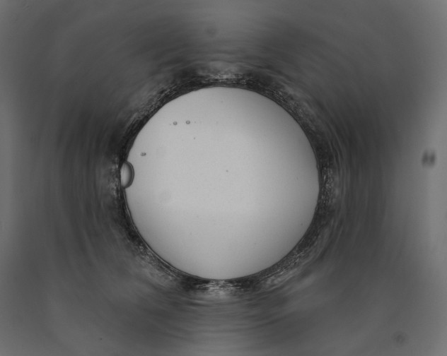 X0000090440612200708031155