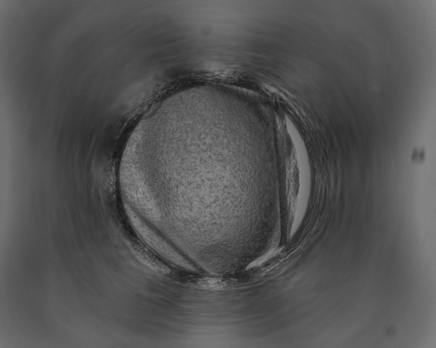 X0000090440613200708031155