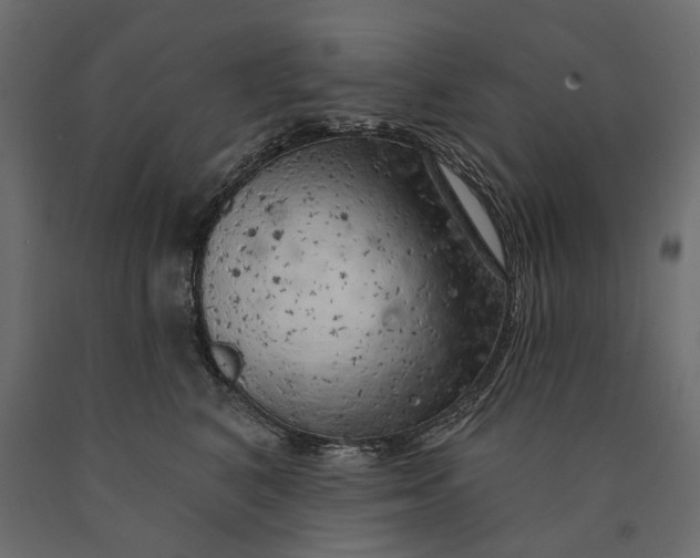 X0000090440616200708031155