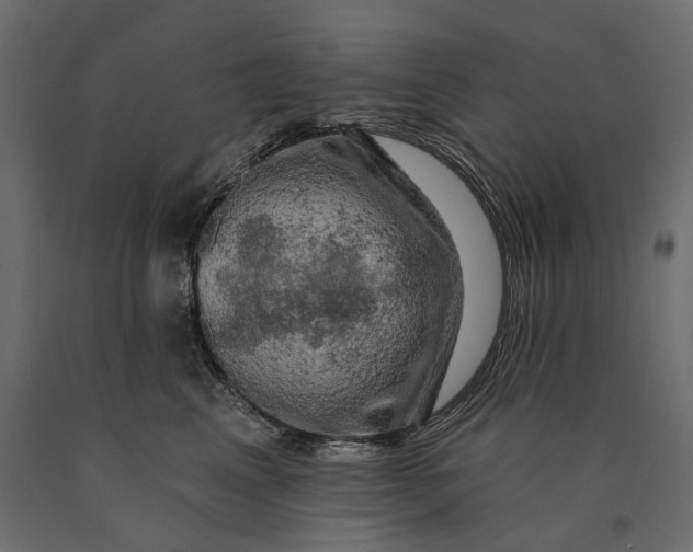 X0000090440617200708031155