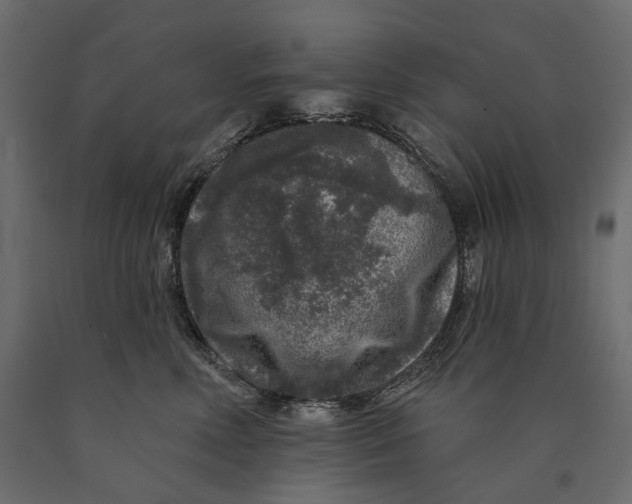 X0000090440618200708031155