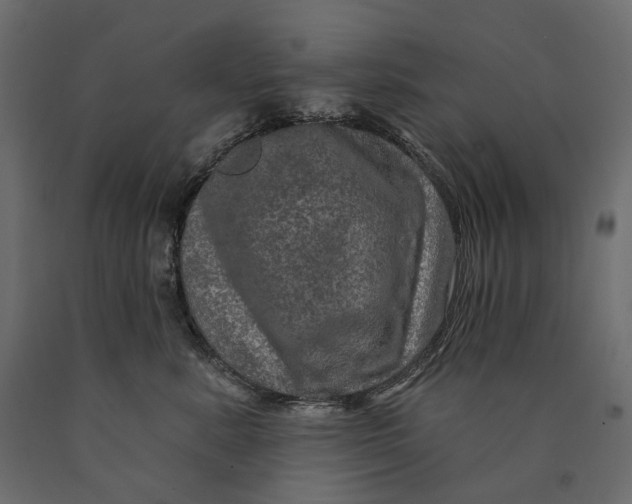 X0000090440619200708031155