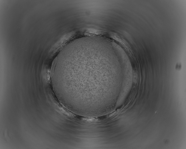 X0000090440621200708031155