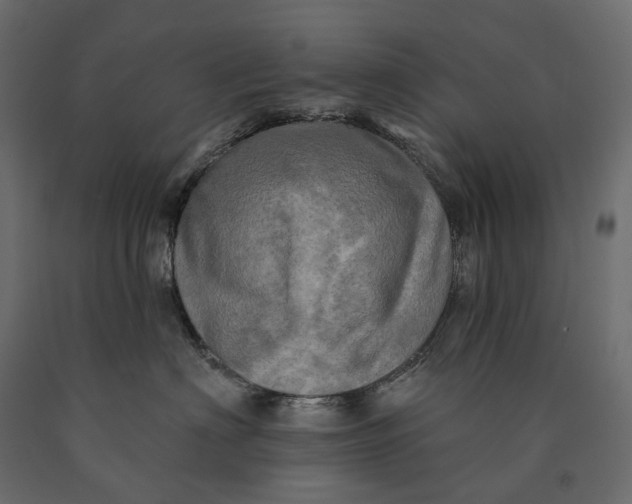 X0000090440622200708031155