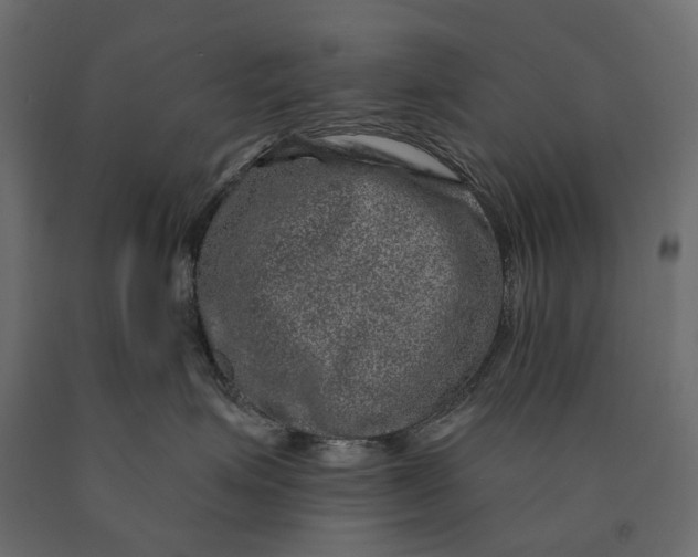 X0000090440623200708031155