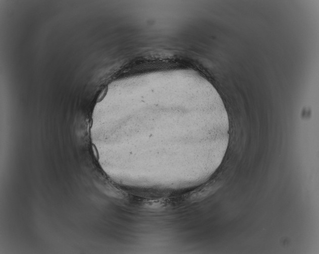 X0000090440624200708031155