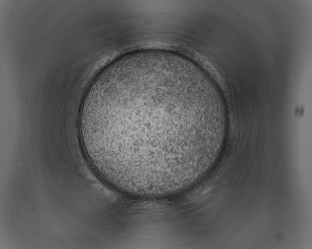 X0000090440625200708031154