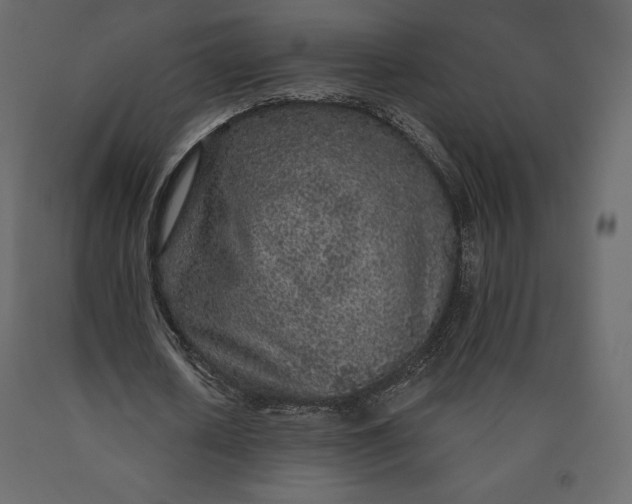 X0000090440626200708031154