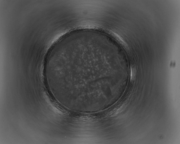 X0000090440627200708031154