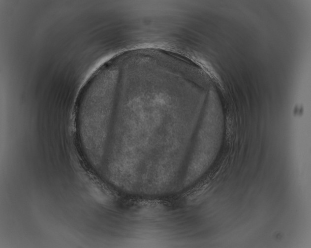 X0000090440628200708031154