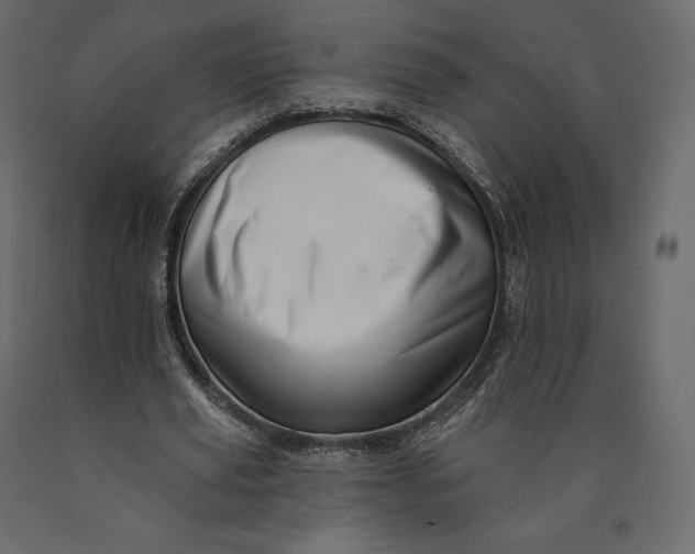 X0000090440629200708031154