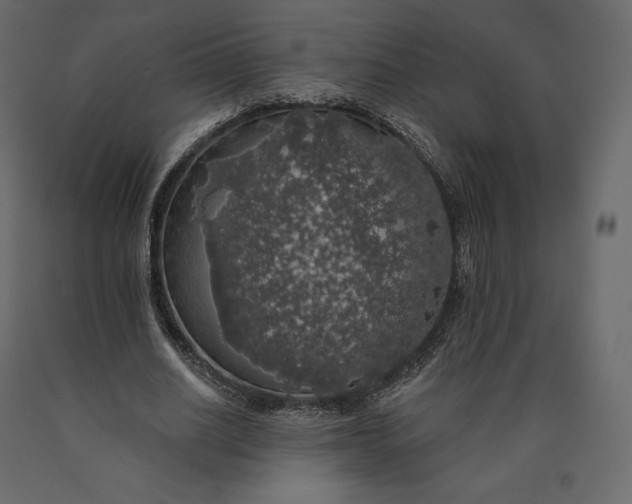 X0000090440630200708031154