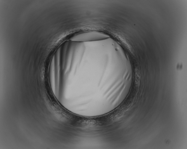 X0000090440631200708031154