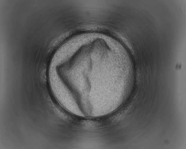 X0000090440633200708031154