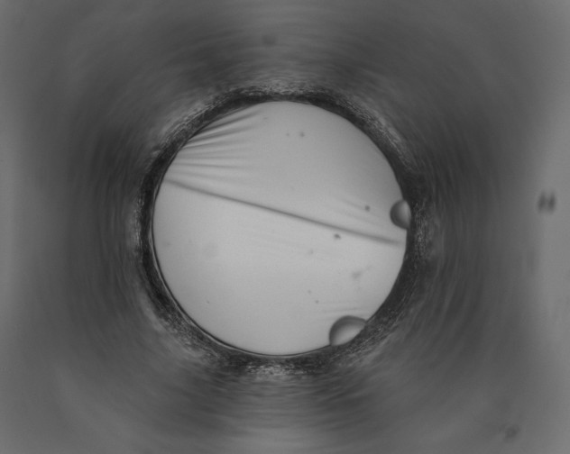 X0000090440635200708031154