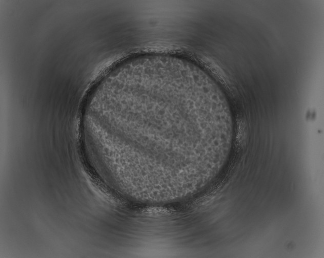 X0000090440636200708031154