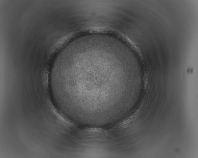 X0000090440637200708031154