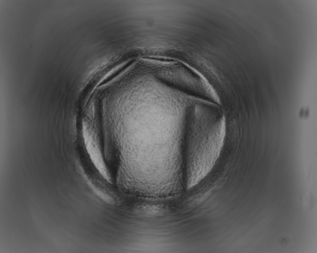 X0000090440638200708031154