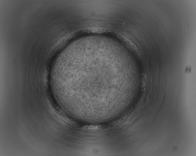 X0000090440639200708031154