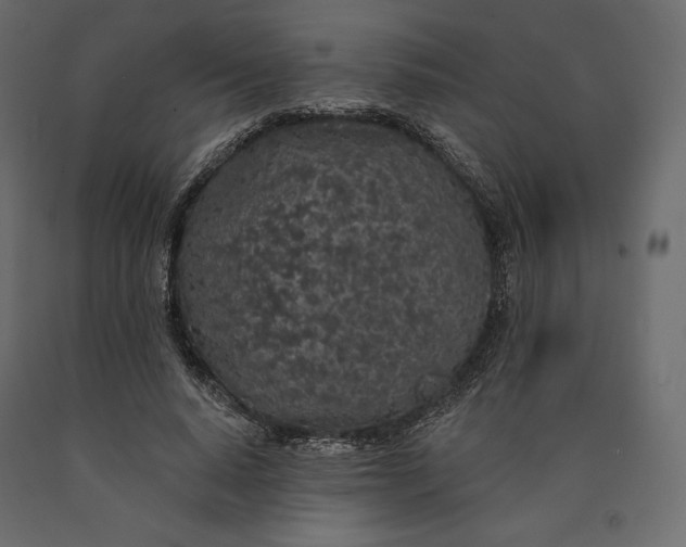 X0000090440640200708031154