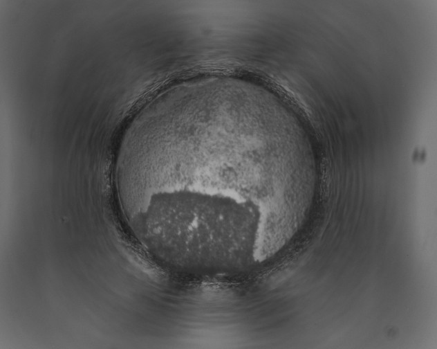 X0000090440641200708031154