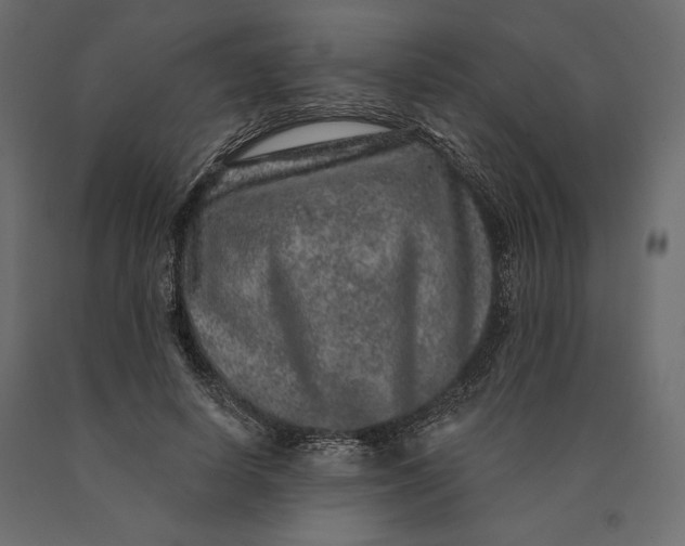 X0000090440642200708031155