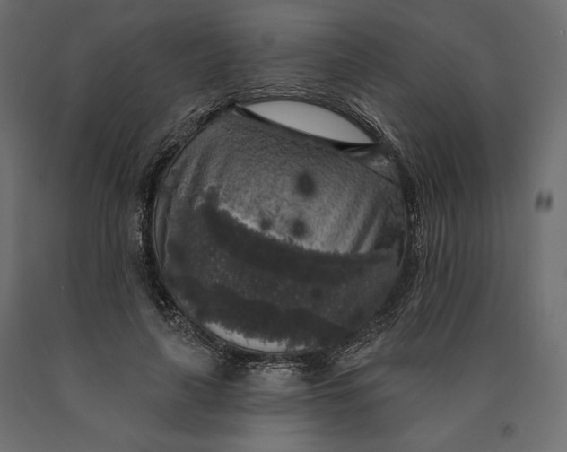 X0000090440643200708031155