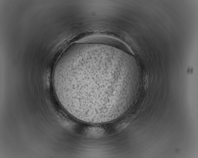 X0000090440644200708031155