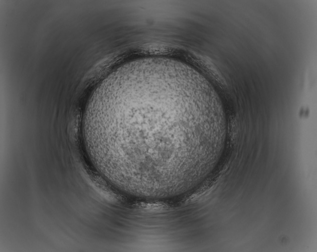 X0000090440645200708031155