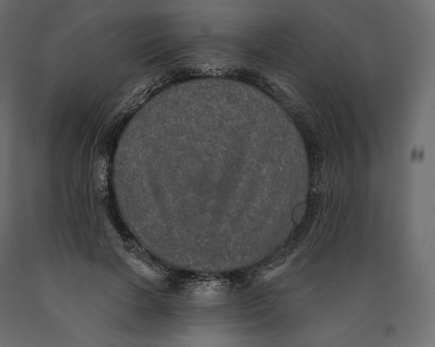 X0000090440646200708031155