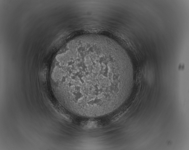 X0000090440647200708031155