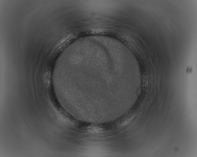 X0000090440648200708031155