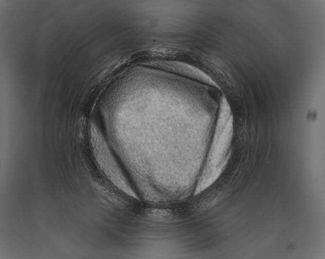 X0000090440649200708031155