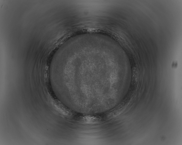 X0000090440650200708031155