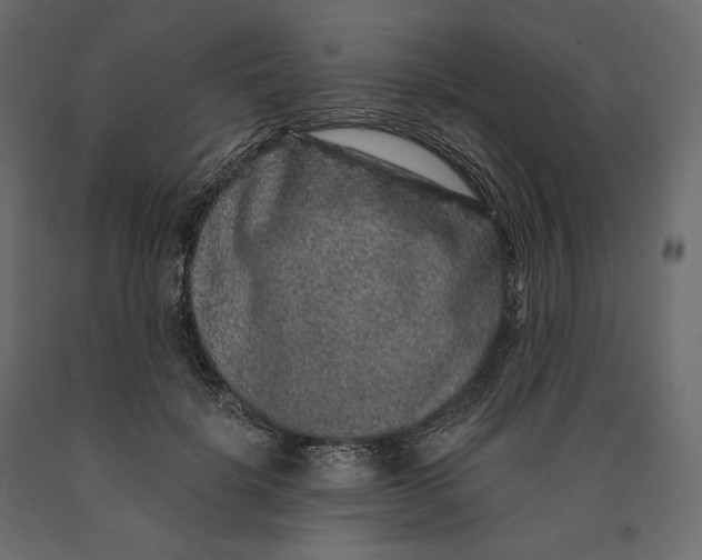 X0000090440652200708031155